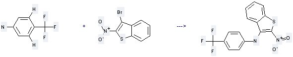 Benzo[b]thiophene,3-bromo-2-nitro- and 4-Trifluoromethyl-aniline can be used to produce (2-Nitrobenzo[b]thiophen-3-yl)(4-trifluoromethylphenyl)amine